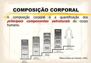 COMPOSIÇÃO CORPORAL
A composição corporal é a quantificação dos
principais componentes estruturais do corpo
humano.
Malina (citado por Petroski, 1999).
Oxigênio
Nível 1
(Atômico)
Nível 2
(Molecular)
Nível 3
(Celular)
Nível 4
(Sistema Tecidular)
Nível 5
(Corpo Inteiro)
Carbono
Outros
Outros
Sólidos
Extracelulares
Outros
Proteinas
Fluidos
Extracelulares
Lipídios
Água
Massa
Celular
Músculo
Esquelético
Tecido
Adiposo
Osso
Sangue
Hidrogênio
 