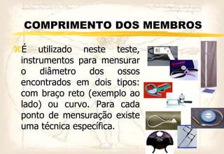 COMPRIMENTO DOS MEMBROS
É utilizado neste teste,
instrumentos para mensurar
o diâmetro dos ossos
encontrados em dois tipos:
com braço reto (exemplo ao
lado) ou curvo. Para cada
ponto de mensuração existe
uma técnica específica.
 
