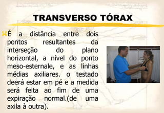 TRANSVERSO TÓRAX
É a distância entre dois
pontos resultantes da
interseção do plano
horizontal, a nível do ponto
meso-esternale, e as linhas
médias axiliares. o testado
deerá estar em pé e a medida
será feita ao fim de uma
expiração normal.(de uma
axila à outra).
 