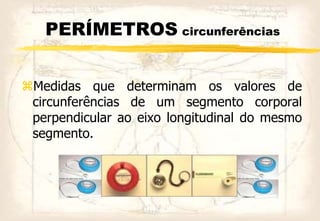 PERÍMETROS circunferências
Medidas que determinam os valores de
circunferências de um segmento corporal
perpendicular ao eixo longitudinal do mesmo
segmento.
 