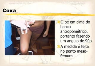 Coxa
O pé em cima do
banco
antropométrico,
portanto fazendo
um angulo de 90o
A medida é feita
no ponto meso-
femural.
 