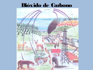 Dióxido de Carbono
 
