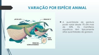 VARIAÇÃO POR ESPÉCIE ANIMAL
 A quantidade de gordura
pode variar desde 1% até mais
de 50%. Os mamíferos
aquáticos têm tipicamente
altas quantidades de gordura
 