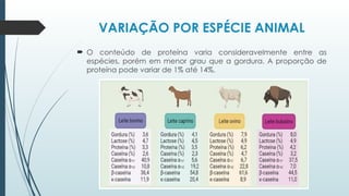 VARIAÇÃO POR ESPÉCIE ANIMAL
 O conteúdo de proteína varia consideravelmente entre as
espécies, porém em menor grau que a gordura. A proporção de
proteína pode variar de 1% até 14%.
 