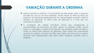 VARIAÇÃO DURANTE A ORDENHA
 Mesmo durante a ordenha, a composição do leite pode variar. A gordura
do leite de vaca é um bom exemplo, sendo menor no leite do início da
ordenha, aumentando gradualmente em percentagem quando o leite é
retirado da glândula. O último leite da glândula é o mais alto em
conteúdo de gordura.
 A contagem de células somáticas (CCS) que corresponde à
concentração de leucócitos no leite, segue um padrão similar, sendo
menor a contagem no leite inicial (exceto nas primeiras gotas de leite) e
maior no último leite retirado da glândula. Estes dados são importantes
quando se coletam amostras de leite para testes, de forma que a melhor
amostra está representada pelo leite inteiro coletado durante toda a
ordenha.
 