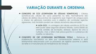 VARIAÇÃO DURANTE A ORDENHA
 CONCEITO DE CCS (CONTAGEM DE CÉLULAS SOMÁTICAS) : Células
somáticas são células da vaca presentes no leite. Normalmente são
células de defesa (leucócitos) do organismo que migram do sangue para
o interior da glândula mamária com o objetivo de combater agentes
agressores, mas também podem ser células secretoras descamadas.
 ALTA CCS : A contagem de células somáticas (CCS) do
leite pode variar segundo diversos fatores, como idade do
animal, estádio de lactação, estresse, época do ano e
nutrição, mas o fator mais preocupante é a presença de
mastite no rebanho.
 CONCEITO DE CBT (CONTAGEM BACTERIANA TOTAL) : Refere-se à
proliferação bacteriana no leite por contaminação externa e está
estritamente relacionada com os processos de higiene durante a coleta
do leite e à manutenção da temperatura do tanque.
 
