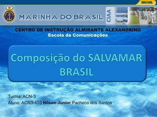 CENTRO DE INSTRUÇÃO ALMIRANTE ALEXANDRINO
              Escola de Comunicações




Turma: ACN-3
Aluno: ACN3-403 Nilson Junior Pacheco dos Santos
 