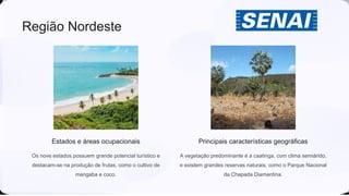 Região Nordeste
Estados e áreas ocupacionais
Os nove estados possuem grande potencial turístico e
destacam-se na produção de frutas, como o cultivo de
mangaba e coco.
Principais características geográficas
A vegetação predominante é a caatinga, com clima semiárido,
e existem grandes reservas naturais, como o Parque Nacional
da Chapada Diamantina.
 