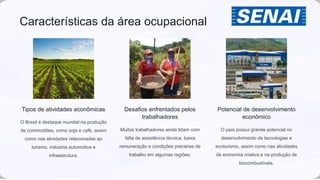 Características da área ocupacional
Tipos de atividades econômicas
O Brasil é destaque mundial na produção
de commodities, como soja e café, assim
como nas atividades relacionadas ao
turismo, indústria automotiva e
infraestrutura.
Desafios enfrentados pelos
trabalhadores
Muitos trabalhadores ainda lidam com
falta de assistência técnica, baixa
remuneração e condições precárias de
trabalho em algumas regiões.
Potencial de desenvolvimento
econômico
O país possui grande potencial no
desenvolvimento de tecnologias e
ecoturismo, assim como nas atividades
de economia criativa e na produção de
biocombustíveis.
 