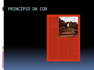 PRINCÍPIO DA COR
 