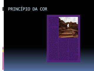 PRINCÍPIO DA COR
 