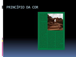 PRINCÍPIO DA COR
 