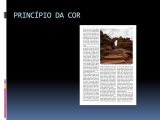 PRINCÍPIO DA COR
 