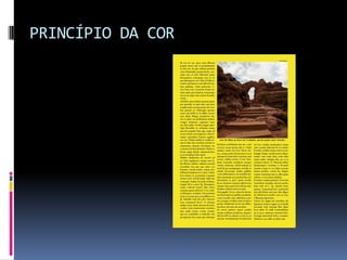 PRINCÍPIO DA COR
 