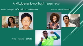A Miscigenação no Brasil ( pardos IBGE)
Branco + Indígena = Caboclo ou mameluco Branco + Preto = Mulato
Preto + indígena = cafuzo
 