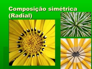 Composição simétricaComposição simétrica
(Radial)(Radial)
 