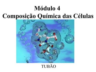 Módulo 4
Composição Química das Células




            TUBÃO
 