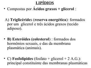 LIPÍDIOS
• Compostas por Ácidos graxos + glicerol :

A) Triglicérides (reserva energética): formados
 por um glicerol e três ácidos graxos (tecido
 adiposo).

• B) Esteróides (colesterol) : formados dos
  hormônios sexuais, e das da membrana
  plasmática (animais).

• C) Fosfolípides (fosfato + glicerol + 2 A.G.):
  principal constituinte das membranas plasmáticas
 