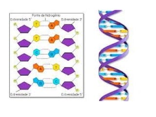 Composição quimica das células modulo 4
