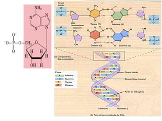 Composição quimica das células modulo 4