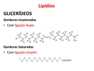 Lipídios
GLICERÍDEOS
Gorduras Insaturadas
• Com ligação dupla
Gorduras Saturadas
• Com ligação simples
 