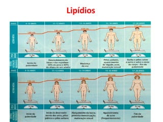 Lipídios
 
