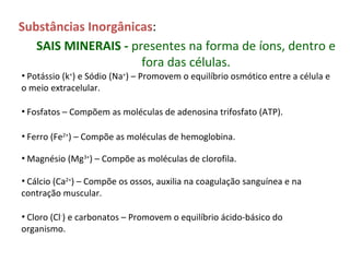 Substâncias Inorgânicas:
SAIS MINERAIS - presentes na forma de íons, dentro e
fora das células.
• Potássio (k+
) e Sódio (Na+
) – Promovem o equilíbrio osmótico entre a célula e
o meio extracelular.
• Fosfatos – Compõem as moléculas de adenosina trifosfato (ATP).
• Ferro (Fe2+
) – Compõe as moléculas de hemoglobina.
• Magnésio (Mg3+
) – Compõe as moléculas de clorofila.
• Cálcio (Ca2+
) – Compõe os ossos, auxilia na coagulação sanguínea e na
contração muscular.
• Cloro (Cl-
) e carbonatos – Promovem o equilíbrio ácido-básico do
organismo.
 