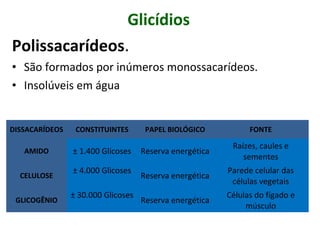 Glicídios
Polissacarídeos.
• São formados por inúmeros monossacarídeos.
• Insolúveis em água
DISSACARÍDEOS CONSTITUINTES PAPEL BIOLÓGICO FONTE
AMIDO ± 1.400 Glicoses Reserva energética
Raízes, caules e
sementes
CELULOSE
± 4.000 Glicoses
Reserva energética
Parede celular das
células vegetais
GLICOGÊNIO
± 30.000 Glicoses
Reserva energética
Células do fígado e
músculo
 
