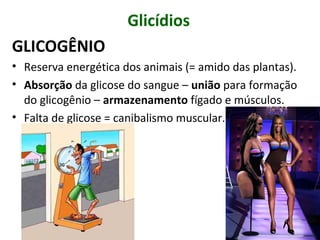 Glicídios
GLICOGÊNIO
• Reserva energética dos animais (= amido das plantas).
• Absorção da glicose do sangue – união para formação
do glicogênio – armazenamento fígado e músculos.
• Falta de glicose = canibalismo muscular.
 