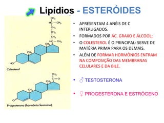 • APRESENTAM 4 ANÉIS DE C
INTERLIGADOS.
• FORMADOS POR ÁC. GRAXO E ÁLCOOL;
• O COLESTEROL É O PRINCIPAL: SERVE DE
MATÉRIA PRIMA PARA OS DEMAIS.
• ALÉM DE FORMAR HORMÔNIOS ENTRAM
NA COMPOSIÇÃO DAS MEMBRANAS
CELULARES E DA BILE.
• ♂ TESTOSTERONA
• ♀ PROGESTERONA E ESTRÓGENO
LipídiosLipídios - ESTERÓIDES
 