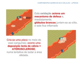 COMPONENTES QUÍMICOS DA S CÉLULAS – LIPÍDIOS
Esta oxidação aciona um
mecanismo de defesa e,
imediatamente,
glóbulos brancos juntam-se ao sítio,
e este fica inflamado
Cria-se uma placa no meio do
vaso sanguíneo; ocorre uma
deposição lenta de cálcio =
ATEROSCLEROSE,
numa tentativa de isolar a área
afetada.
 