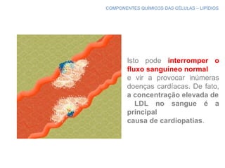 COMPONENTES QUÍMICOS DAS CÉLULAS – LIPÍDIOS
Isto pode interromper o
fluxo sanguíneo normal
e vir a provocar inúmeras
doenças cardíacas. De fato,
a concentração elevada de
LDL no sangue é a
principal
causa de cardiopatias.
 