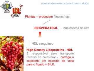 COMPONENTES QUÍMICOS DAS CÉLULAS – LIPÍDIOS
Plantas – produzem fitoalexínas
RESVERATROL - nas cascas da uva
High-Density Lipoproteins - HDL
É responsável pelo transporte
reverso do colesterol - carrega o
colesterol em excesso de volta
para o fígado = BILE.
HDL sanguíneo
Vitis sp.
 
