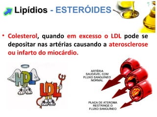 • Colesterol, quando em excesso o LDL pode se
depositar nas artérias causando a aterosclerose
ou infarto do miocárdio.
LipídiosLipídios - ESTERÓIDES
 