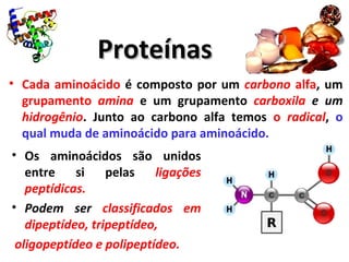 ProteínasProteínas
• Cada aminoácido é composto por um carbono alfa, um
grupamento amina e um grupamento carboxila e um
hidrogênio. Junto ao carbono alfa temos o radical, o
qual muda de aminoácido para aminoácido.
• Os aminoácidos são unidos
entre si pelas ligações
peptídicas.
• Podem ser classificados em
dipeptídeo, tripeptídeo,
oligopeptídeo e polipeptídeo.
 