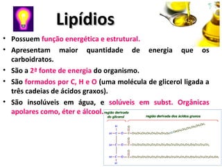 LipídiosLipídios
• Possuem função energética e estrutural.
• Apresentam maior quantidade de energia que os
carboidratos.
• São a 2ª fonte de energia do organismo.
• São formados por C, H e O (uma molécula de glicerol ligada a
três cadeias de ácidos graxos).
• São insolúveis em água, e solúveis em subst. Orgânicas
apolares como, éter e álcool.
 