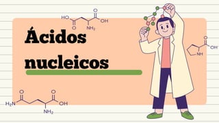 Ácidos
nucleicos
 