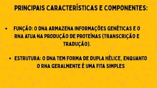 Principais Características e Componentes:
Função: O DNA armazena informações genéticas e o
RNA atua na produção de proteínas (transcrição e
tradução).
Estrutura: O DNA tem forma de dupla hélice, enquanto
o RNA geralmente é uma fita simples
 