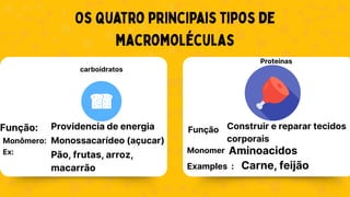 Os quatro principais tipos de
macromoléculas
Função:
carboidratos
Proteinas
Providencia de energia
Monômero: Monossacarídeo (açucar)
Ex: Pão, frutas, arroz,
macarrão
Função Construir e reparar tecidos
corporais
Monomer Aminoacidos
Examples : Carne, feijão
 