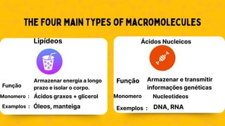 The Four Main Types of Macromolecules
Função
Lipídeos Ácidos Nucleicos
Armazenar energia a longo
prazo e isolar o corpo.
Monomero : Ácidos graxos + glicerol
Examplos : Óleos, manteiga
Função Armazenar e transmitir
informações genéticas
Monomero Nucleotideos
Exemplos : DNA, RNA
 