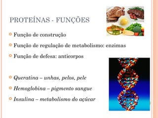PROTEÍNAS - FUNÇÕES 
 Função de construção 
 Função de regulação de metabolismo: enzimas 
 Função de defesa: anticorpos 
 Queratina – unhas, pelos, pele 
 Hemoglobina – pigmento sangue 
 Insulina – metabolismo do açúcar 
 