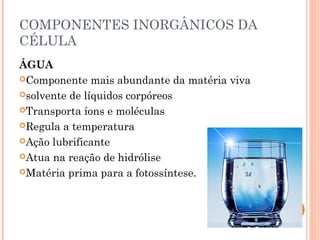 COMPONENTES INORGÂNICOS DA 
CÉLULA 
ÁGUA 
Componente mais abundante da matéria viva 
solvente de líquidos corpóreos 
Transporta íons e moléculas 
Regula a temperatura 
Ação lubrificante 
Atua na reação de hidrólise 
Matéria prima para a fotossíntese. 
 