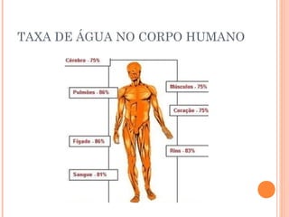 TAXA DE ÁGUA NO CORPO HUMANO 
 