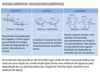 DISSACARÍDEOS (OLIGOSSACARÍDEOS)
        MALTOSE                       LACTOSE                        SACAROSE




   Glicose + Glicose             Glicose + Galactose             Glicose + Frutose

                                                            Forma o açúcar comum, o de
Encontrado principalmente
                                                            cozinha. É encontrado
em vegetais, é fonte quase   A lactose é o açúcar do leite. abundantemente em frutos e
que imediata de energia.     Representa fonte de energia na cana-de-açúcar. Para planta
Provém da degradação do      fundamental aos mamíferos é importatnte como agente
amido. Abundante em          jovens.                        facilitador da dispersão da
cereais.
                                                            semente, por ser um atrativo.

As moléculas dissacarídicas são formadas pela união de dois monossacarídeos por
meio de uma reação de condensação (que forma uma molécula de água) ou pela
degradação de um polissacarídeo por reação de hidrólise (que consome uma
moécula de água).
 