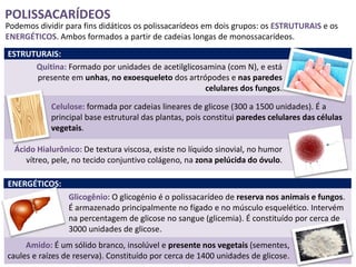 POLISSACARÍDEOS
Podemos dividir para fins didáticos os polissacarídeos em dois grupos: os ESTRUTURAIS e os
ENERGÉTICOS. Ambos formados a partir de cadeias longas de monossacarídeos.
ESTRUTURAIS:
      Quitina: Formado por unidades de acetilglicosamina (com N), e está
      presente em unhas, no exoesqueleto dos artrópodes e nas paredes
                                                   celulares dos fungos.

            Celulose: formada por cadeias lineares de glicose (300 a 1500 unidades). É a
            principal base estrutural das plantas, pois constitui paredes celulares das células
            vegetais.

  Ácido Hialurônico: De textura viscosa, existe no líquido sinovial, no humor
     vítreo, pele, no tecido conjuntivo colágeno, na zona pelúcida do óvulo.

ENERGÉTICOS:
                 Glicogênio: O glicogénio é o polissacarídeo de reserva nos animais e fungos.
                 É armazenado principalmente no fígado e no músculo esquelético. Intervém
                 na percentagem de glicose no sangue (glicemia). É constituído por cerca de
                 3000 unidades de glicose.
     Amido: É um sólido branco, insolúvel e presente nos vegetais (sementes,
caules e raízes de reserva). Constituído por cerca de 1400 unidades de glicose.
 