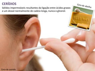 CERÍDIOS
Sólidos impermeáveis resultantes da ligação entre ácidos graxos
e um álcool normalmente de cadeia longa, nunca o glicerol.




Cera de ouvido
 