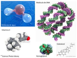 Molécula de DNA




 Molécula de água

 Vitamina C




                                            Colesterol




ᔥ Science Photo Library   Hemoglobina
 