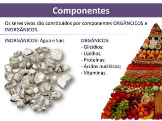 Componentes
Os seres vivos são constituídos por componentes ORGÂNCICOS e
INORGÂNICOS.

INORGÂNICOS: Água e Sais        ORGÂNICOS:
                                - Glicídios;
                                - Lipídios;
                                - Proteínas;
                                - Ácidos nucléicos;
                                - Vitaminas.
 