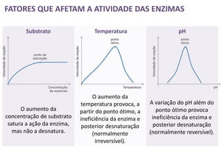 FATORES QUE AFETAM A ATIVIDADE DAS ENZIMAS

       Substrato                 Temperatura                      pH




                                 O aumento da
                            temperatura provoca, a     A variação do pH além do
      O aumento da          partir do ponto ótimo, a      ponto ótimo provoca
concentração de substrato   ineficiência da enzima e    ineficiência da enzima e
 satura a ação da enzima,    posterior desnaturação      posterior desnaturação
   mas não a desnatura.          (normalmente          (normalmente reversível).
                                   irreversível).
 