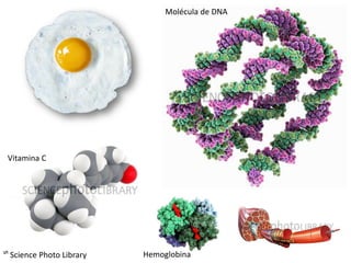 Molécula de DNA




 Vitamina C




ᔥ Science Photo Library   Hemoglobina
 